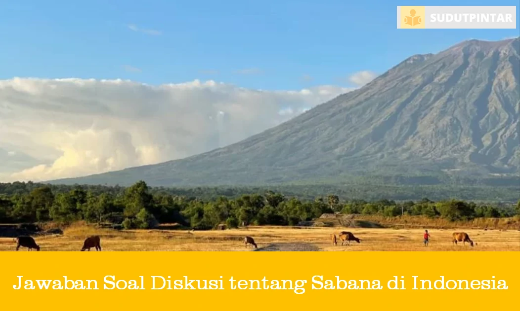 Jawaban Soal Diskusi tentang Sabana di Indonesia