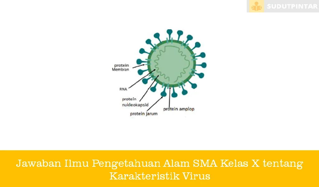 Jawaban Ilmu Pengetahuan Alam SMA Kelas X tentang Karakteristik Virus